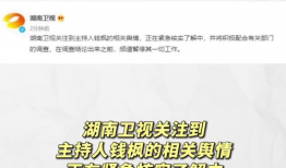 娱乐圈吃瓜暗语是什么,揭秘明星幕后真相